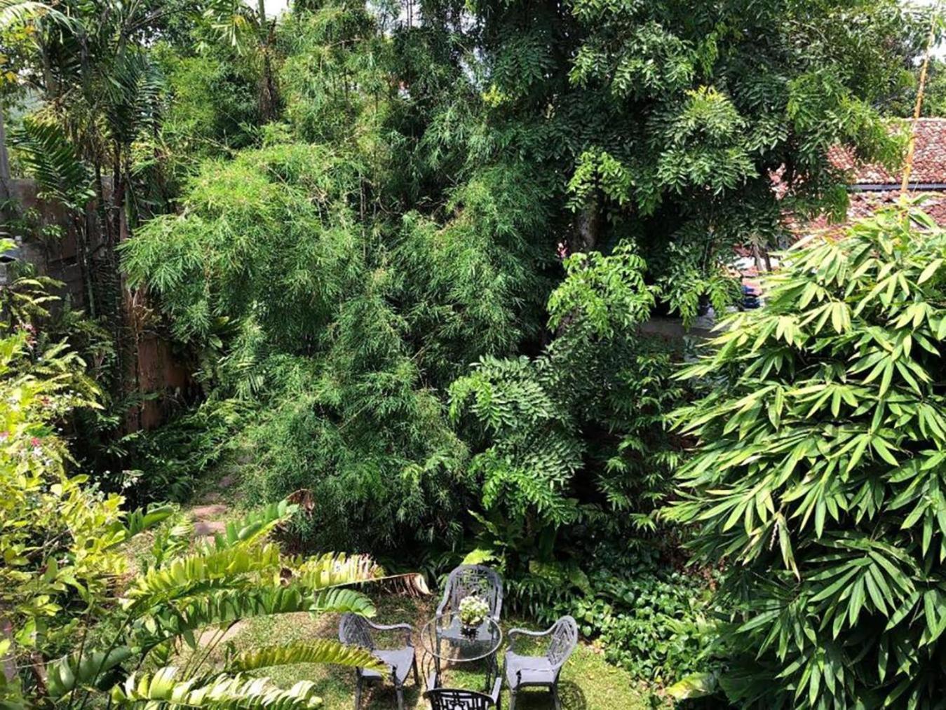 Highbury Homestay *